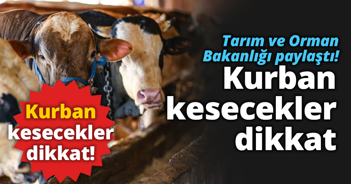 Tarım ve Orman Bakanlığı paylaştı! Kurban kesecekler dikkat