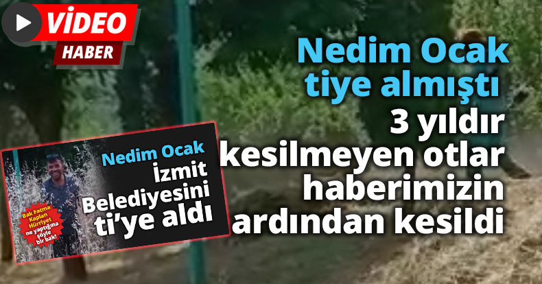 3 yıldır kesilmeyen otlar haberimizin ardından kesildi