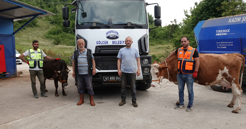 TÜM HAYVANLARINI KAYBEDEN AFYONLU BESİCİYE GÖLCÜK'TEN YARDIM ELİ