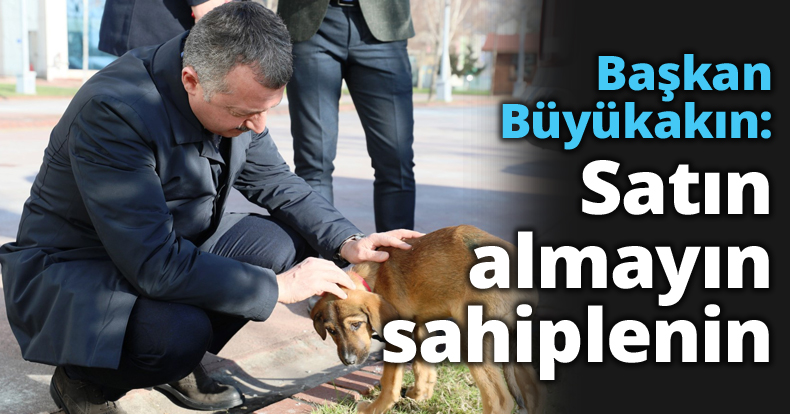 Başkan Büyükakın: Satın almayın sahiplenin