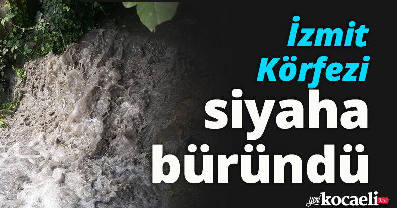 İzmit Körfezi siyaha büründü
