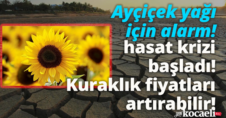 Ayçiçek yağında Rusya-Ukrayna krizi bitti hasat krizi başladı! Kuraklık fiyatları artırabilir