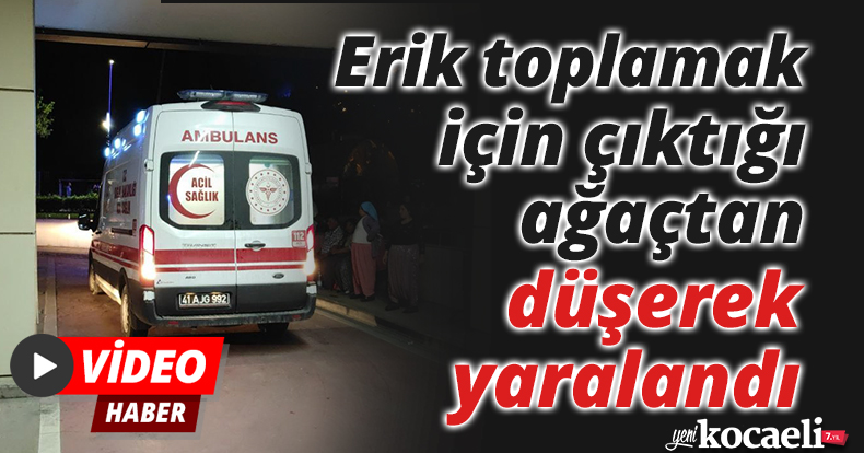 Erik toplamak için çıktığı ağaçtan düşerek yaralandı