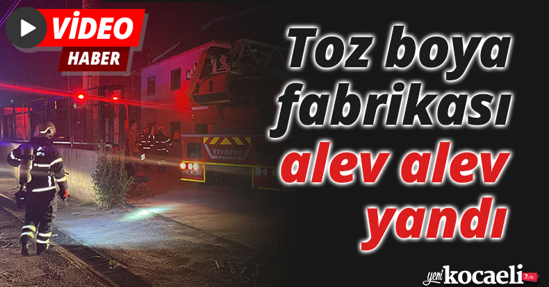 Toz boya fabrikası alev alev yandı