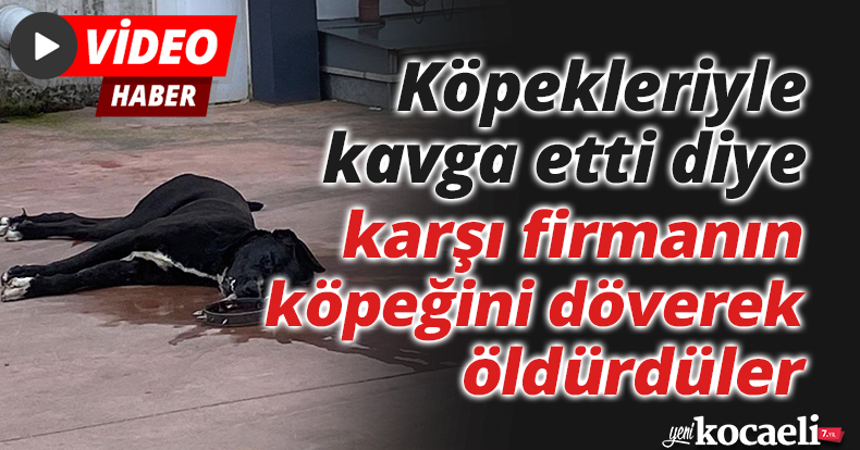 Köpekleriyle kavga etti diye karşı firmanın köpeğini döverek öldürdüler