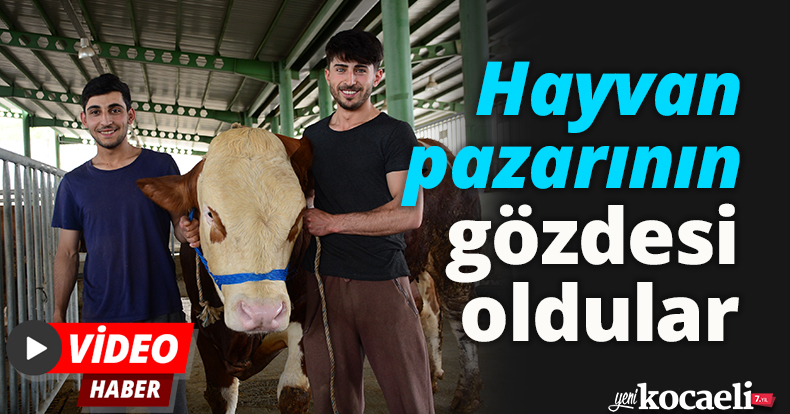 Hayvan pazarının gözdesi oldular