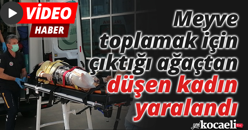 Meyve toplamak için çıktığı ağaçtan düşen kadın yaralandı