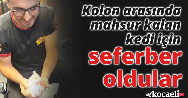 Kolon arasında mahsur kalan kedi için seferber oldular