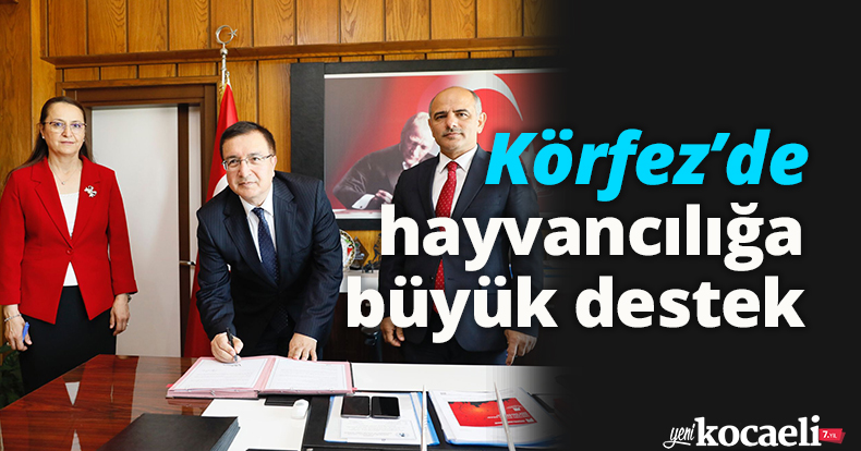 Körfez’de hayvancılığa büyük destek