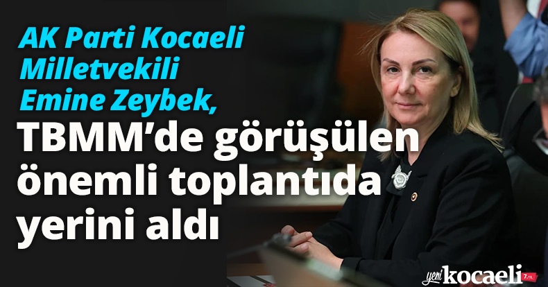 Zeybek, TBMM’de görüşülen önemli toplantıda yerini aldı
