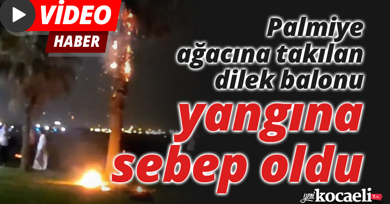 Palmiye ağacına takılan dilek balonu yangına sebep oldu