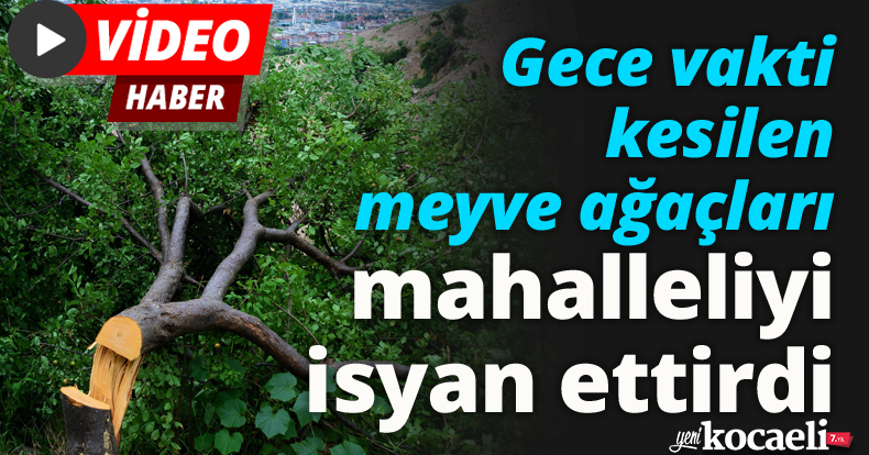 Gece vakti kesilen meyve ağaçları mahalleliyi isyan ettirdi