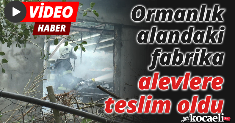 Ormanlık alandaki fabrika alevlere teslim oldu
