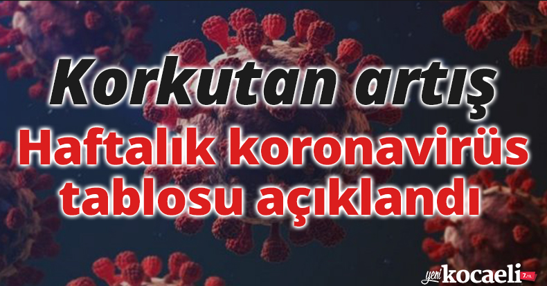 Korkutan artış: Haftalık koronavirüs tablosu açıklandı
