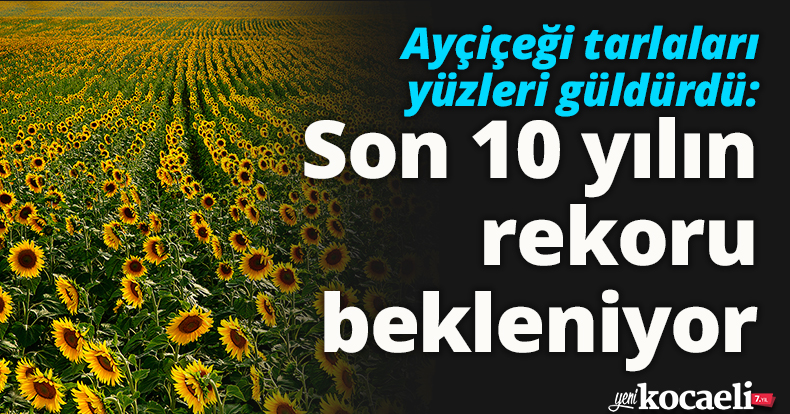 Son 10 yılın rekoru bekleniyor
