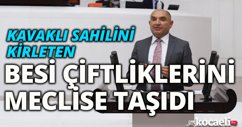 KAVAKLI SAHİLİNİ KİRLETEN BESİ ÇİFTLİKLERİNİ MECLİSE TAŞIDI