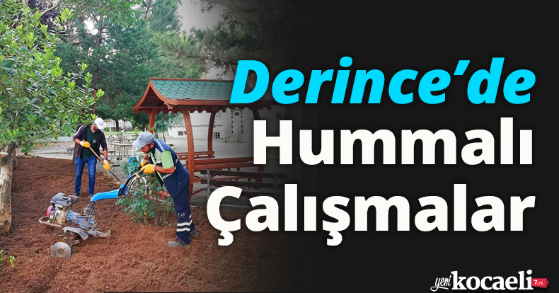 Derince’de Hummalı Çalışmalar