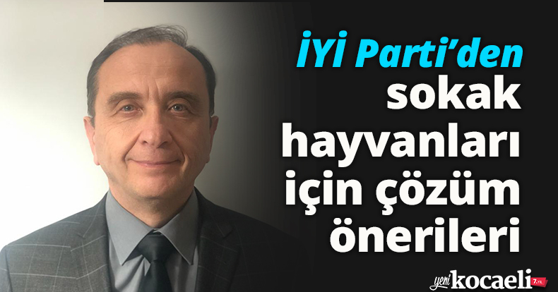 İYİ Parti’den sokak hayvanları için çözüm önerileri