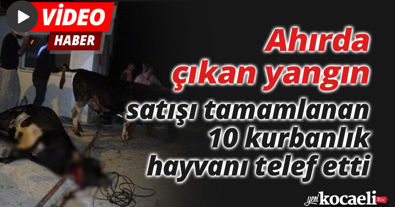 Ahırda çıkan yangın, satışı tamamlanan 10 kurbanlık hayvanı telef etti