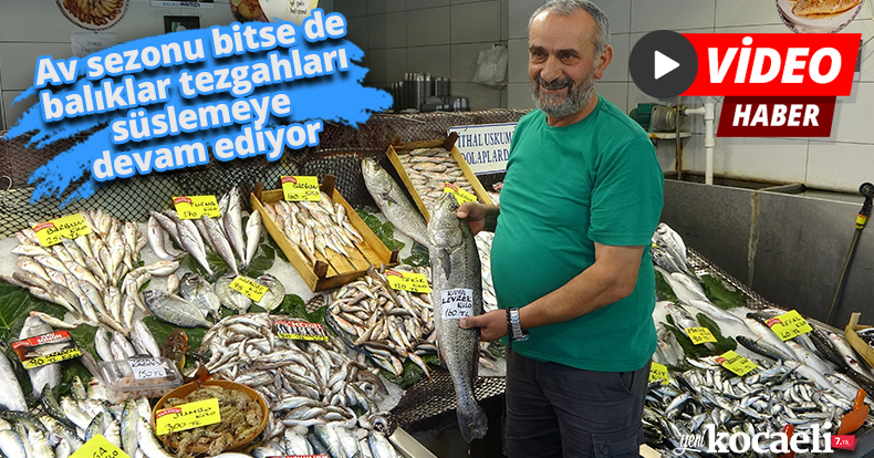 Av sezonu bitse de balıklar tezgahları süslemeye devam ediyor