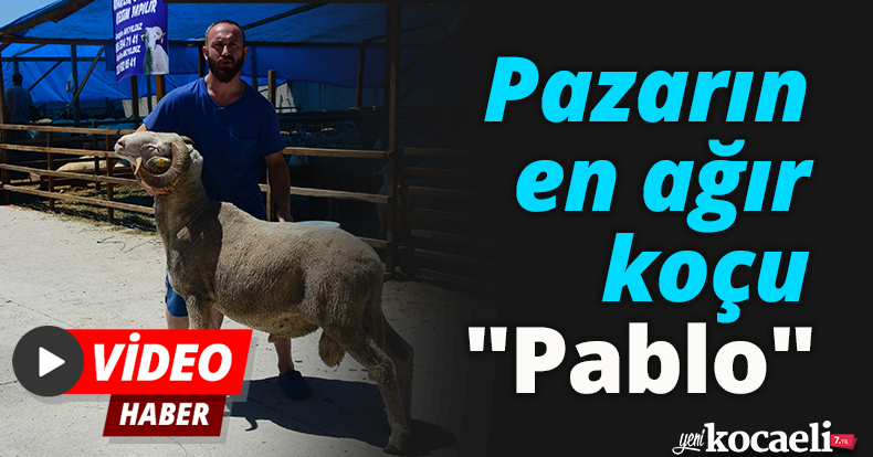 Pazarın en ağır koçu: 
