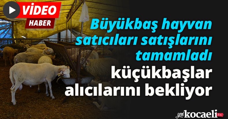 Büyükbaş hayvan satıcıları satışlarını tamamladı, küçükbaşlar alıcılarını bekliyor