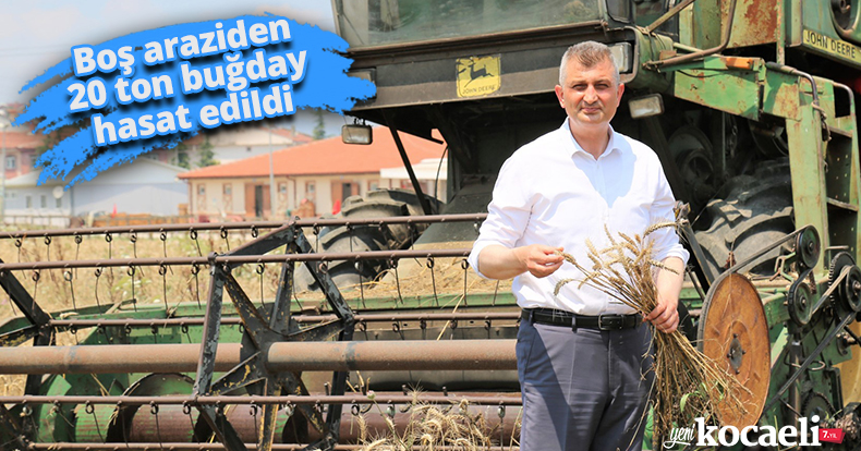 Boş araziden 20 ton buğday hasat edildi