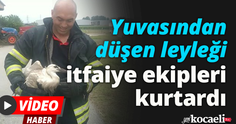 Yuvasından düşen leyleği itfaiye ekipleri kurtardı