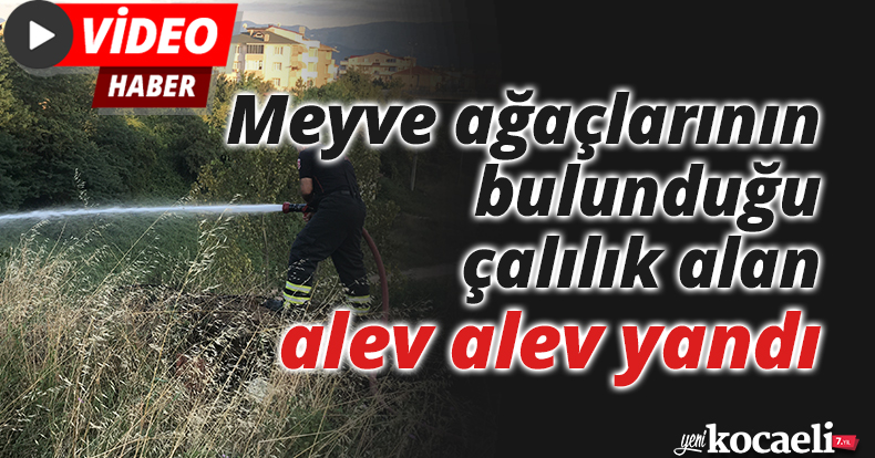 Meyve ağaçlarının bulunduğu çalılık alan alev alev yandı
