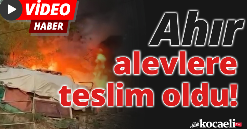 Ahır alevlere teslim oldu, itfaiye ekipleri güçlükle söndürdü