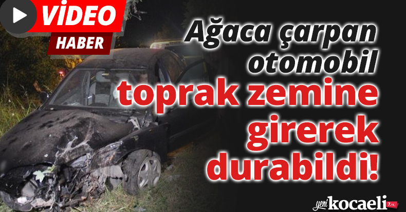 Ağaca çarpan otomobil, toprak zemine girerek durabildi