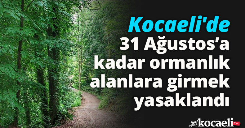 Kocaeli'de 31 Ağustos’a kadar ormanlık alanlara girmek yasaklandı