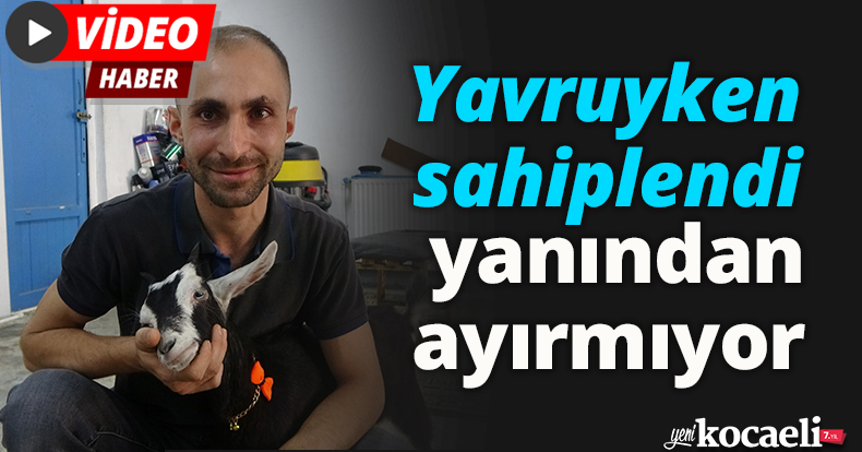 Yavruyken sahiplendi, yanından ayırmıyor