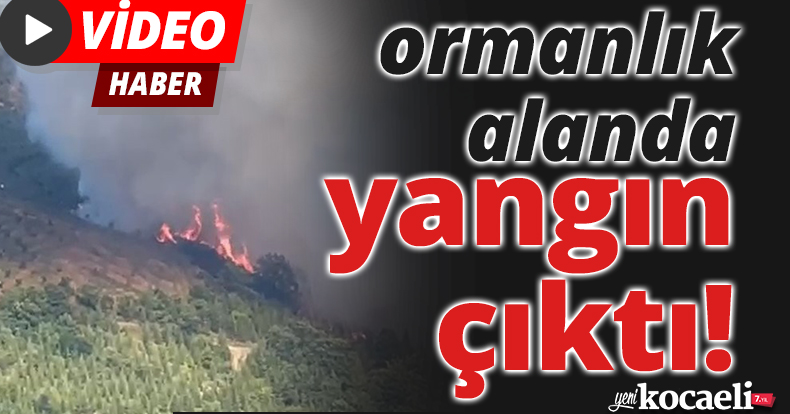 Kocaeli'de Ormanlık alanda yangın çıktı, söndürme çalışmaları devam ediyor
