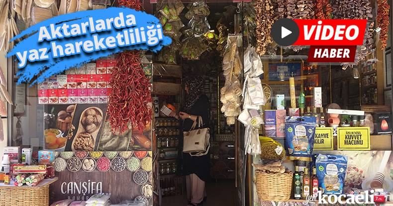 Aktarlarda yaz hareketliliği
