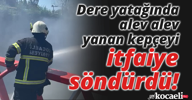 Dere yatağında alev alev yanan kepçeyi itfaiye söndürdü