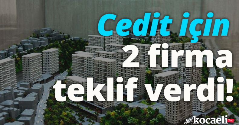 Cedit için 2 firma teklif verdi!