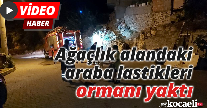 Ağaçlık alandaki araba lastikleri ormanı yaktı
