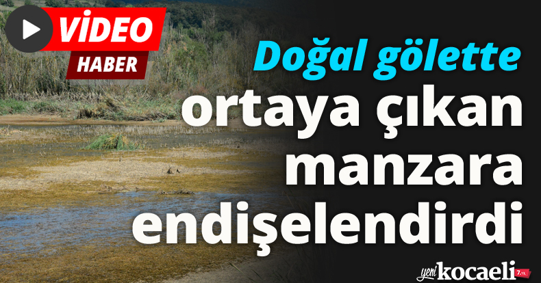 Doğal gölette ortaya çıkan manzara endişelendirdi
