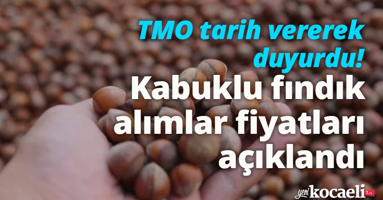 TMO tarih vererek duyurdu! Kabuklu fındık alımlar fiyatları açıklandı