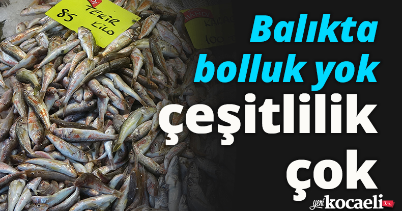 Balıkta bolluk yok, çeşitlilik çok