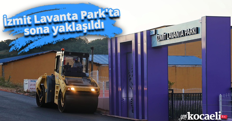 İzmit Lavanta Park'ta sona yaklaşıldı