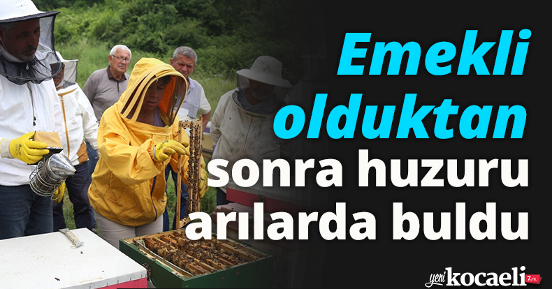 Emekli olduktan sonra huzuru arılarda buldu