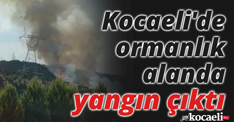 Kocaeli'de ormanlık alanda yangın çıktı