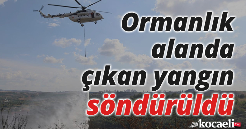 Ormanlık alanda çıkan yangın söndürüldü