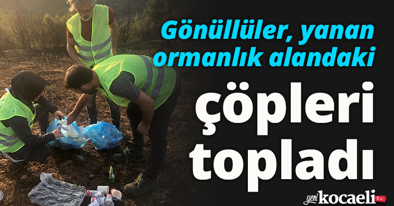 Gönüllüler, yanan ormanlık alandaki çöpleri topladı