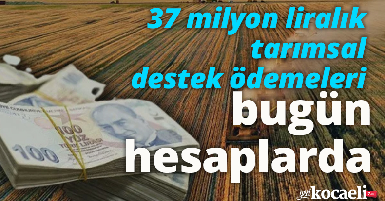 37 milyon liralık tarımsal destek ödemeleri bugün hesaplarda