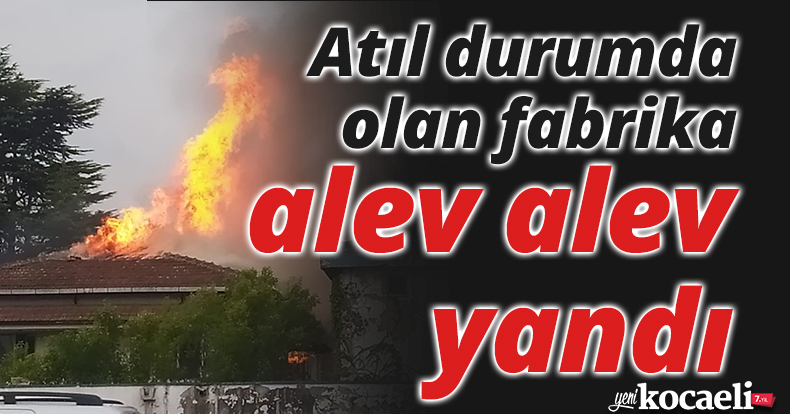 Atıl durumda olan fabrika alev alev yandı
