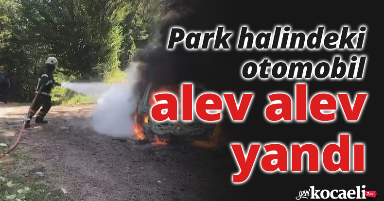 Park halindeki otomobil alev alev yandı