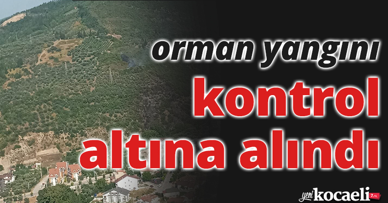 Kocaeli'deki orman yangını kontrol altına alındı